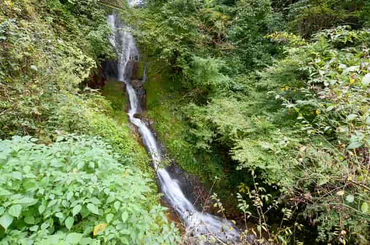 �����̑�